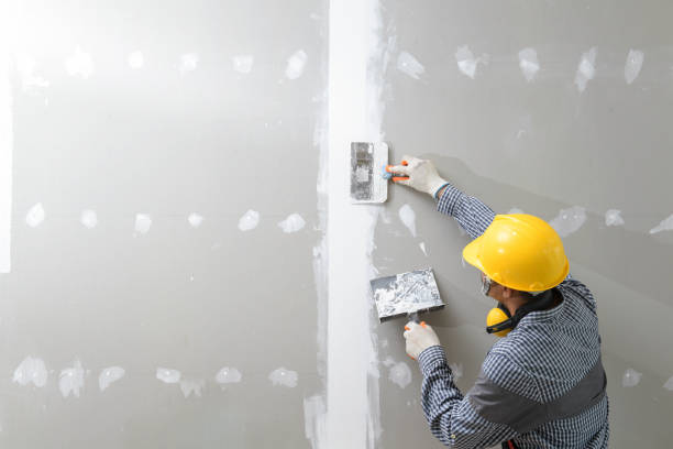 Best Drywall Texturing  in Oneida, TN